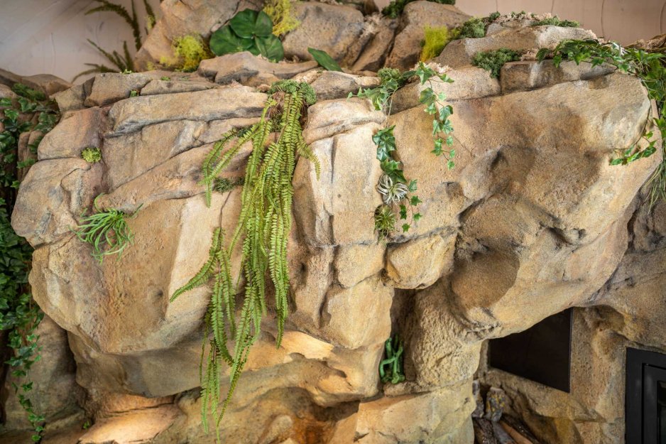 Apartmán Stone