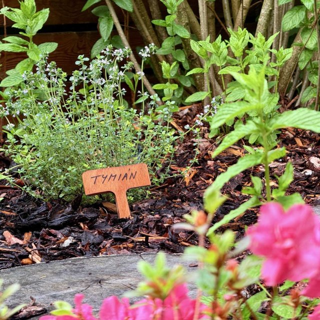 Apartmán Bio